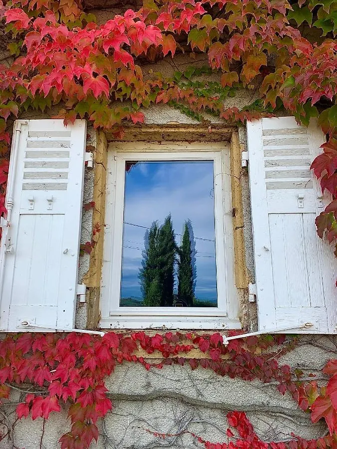 Le Gite De Buffetieres Saint-Romain-de-Popey France