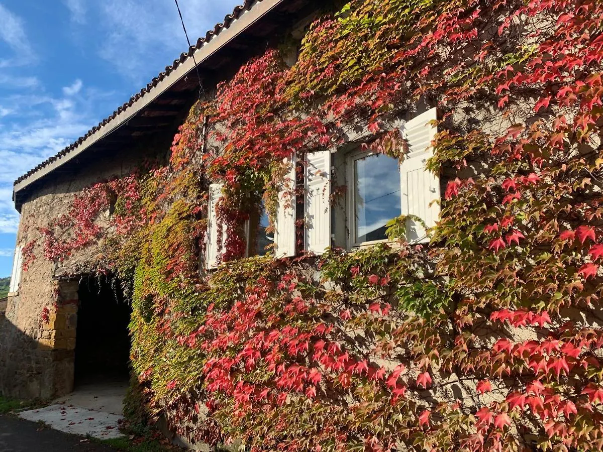 Le Gite De Buffetieres Saint-Romain-de-Popey France