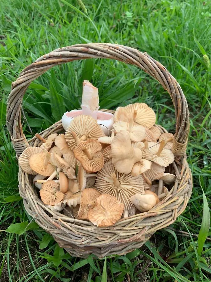Le Gite De Buffetieres Saint-Romain-de-Popey 0*,  Frankreich